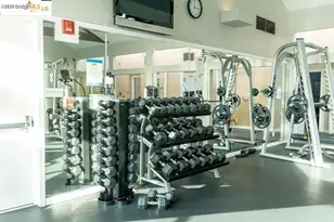 6400 Christie Ave, Emeryville, CA 94608 - Photo 37