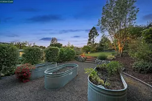 31 Ivy Dr, Orinda, CA 94563 - Photo 53