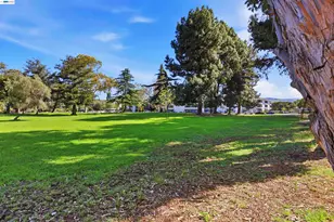 27505 Tampa Ave, Hayward, CA 94544 - Photo 33