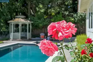 1126 Hidalgo Ct, Lafayette, CA 94549 - Photo 45