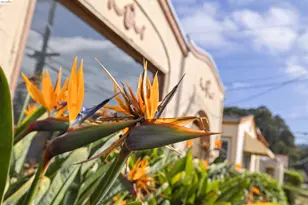 2939 57th Ave, Oakland, CA 94605 - Photo 5