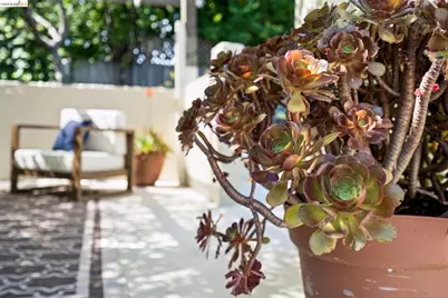 3631 Lyon Ave, Oakland, CA 94601 - Photo 37