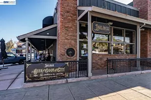 223 Birch Creek Dr, Pleasanton, CA 94566 - Photo 45