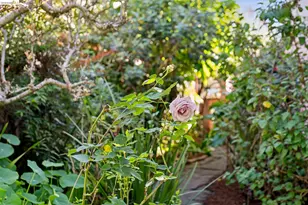 2520 McGee Ave, Berkeley, CA 94703 - Photo 15