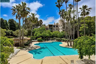 360 Civic Dr #204, Walnut Creek, CA 94596 - Photo 15