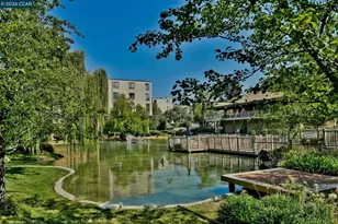 360 Civic Dr, Walnut Creek, CA 94596 - Photo 17