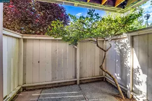 375 Camelback Rd, Pleasant Hill, CA 94523 - Photo 23