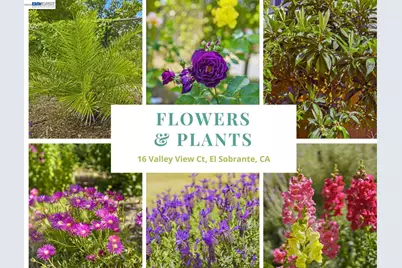 16 Valley View Ct, El Sobrante, CA 94803 - Photo 41