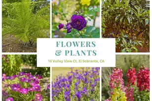 16 Valley View Ct, El Sobrante, CA 94803 - Photo 41