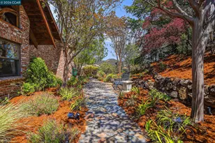 176 Mountain Canyon Ln, Alamo, CA 94507 - Photo 41