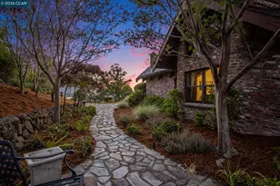 176 Mountain Canyon Ln, Alamo, CA 94507 - Photo 47