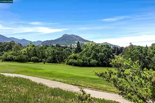 402 Chupcan Pl, Clayton, CA 94517 - Photo 45