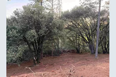 4700 Kelley Pl, Garden Valley, CA 95633 - Photo 9