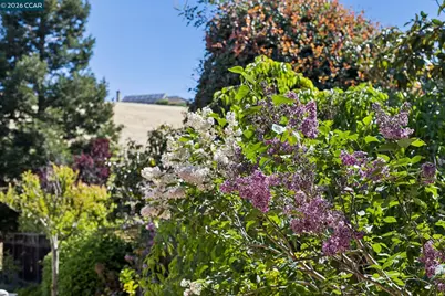 680 Quail Crest Drive, Walnut Creek, CA 94598 - Photo 57