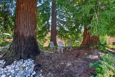 3101 Golden Rain Rd #2, Walnut Creek, CA 94595 - Photo 21