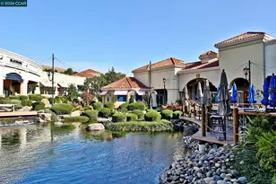 23 Verbena Ct, San Ramon, CA 94582 - Photo 55