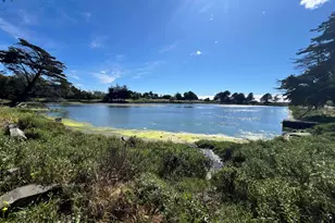 1241 Ashby Ave, Berkeley, CA 94702 - Photo 55