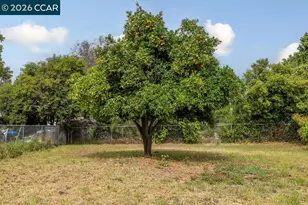 710 Grove Way, Hayward, CA 94541 - Photo 45