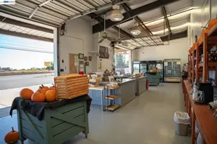 2017 Walnut Blvd, Brentwood, CA 94513 - Photo 9