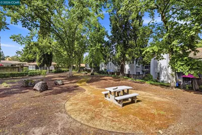335 Tampico, Walnut Creek, CA 94598 - Photo 29