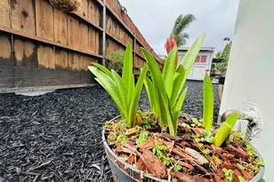 1249 88th Ave, Oakland, CA 94621 - Photo 11