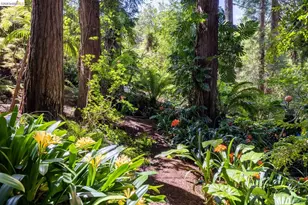 10 Burdeck Ct, Oakland, CA 94602 - Photo 49