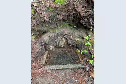 20800 Mount Provo Road, Twain Harte, CA 95383 - Photo 7