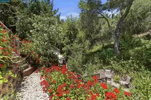 38 St Stephens Dr, Orinda, CA 94563 - Photo 33