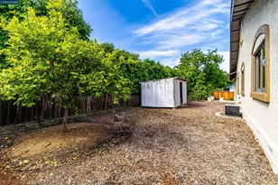 3882 Chestnut Ave, Concord, CA 94519 - Photo 51