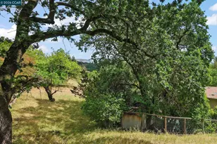 428 El Rio, Danville, CA 94526 - Photo 31