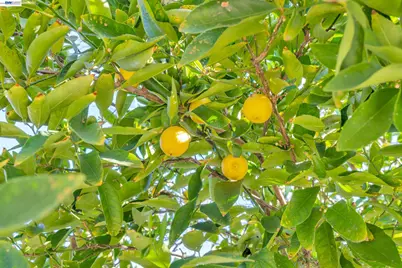 282 Del Valle Ct, Pleasanton, CA 94566 - Photo 27