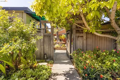 1250 Ocean Ave, Emeryville, CA 94608 - Photo 45