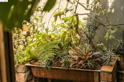 1250 Ocean Ave, Emeryville, CA 94608 - Photo 43