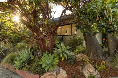 1250 Ocean Ave, Emeryville, CA 94608 - Photo 57