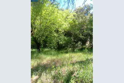 56025 Highway 101, Laytonville, CA 95454 - Photo 7