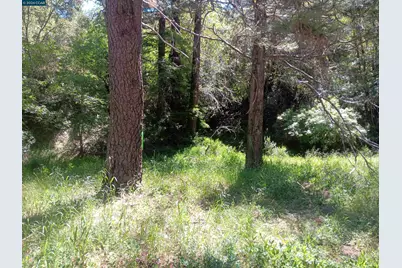 56025 Highway 101, Laytonville, CA 95454 - Photo 5