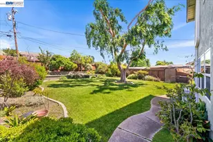 48260 Conifer St, Fremont, CA 94539 - Photo 35
