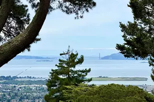 1170 Sterling Ave, Berkeley, CA 94708 - Photo 49