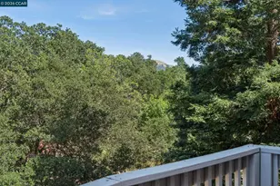 116 Castle Rock Ln, Walnut Creek, CA 94598 - Photo 59