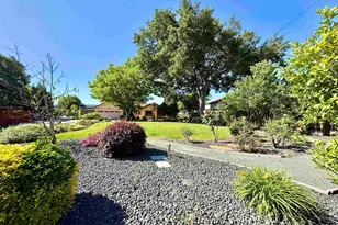 4429 James Ave, Castro Valley, CA 94546 - Photo 3