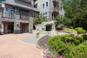 1000 Dewing Ave, Lafayette, CA 94549 - Photo 29