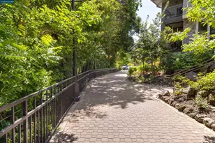 1000 Dewing Ave, Lafayette, CA 94549 - Photo 27