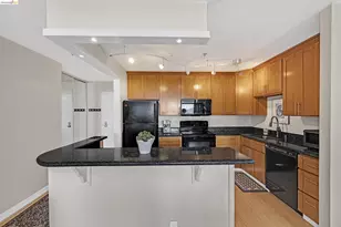 555 Pierce St, Albany, CA 94706 - Photo 5