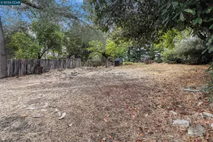 233 Sierra Dr, Walnut Creek, CA 94596 - Photo 23