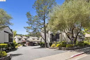45 Corte Real, Larkspur, CA 94904 - Photo 39