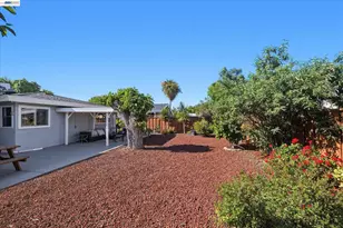 442 James St, Livermore, CA 94551 - Photo 19