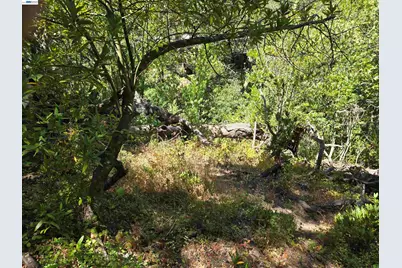 12 Vista Del Orinda, Orinda, CA 94563 - Photo 9