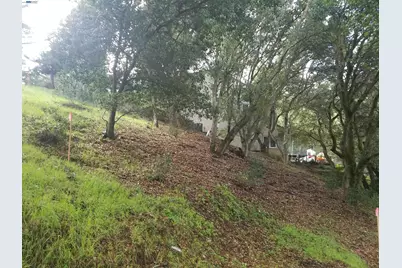 12 Vista Del Orinda, Orinda, CA 94563 - Photo 3