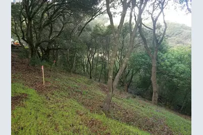 12 Vista Del Orinda, Orinda, CA 94563 - Photo 5