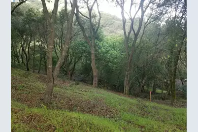12 Vista Del Orinda, Orinda, CA 94563 - Photo 7